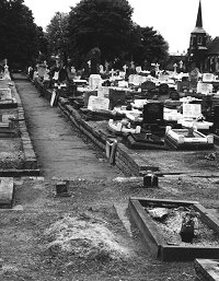 cemetery.jpg (20980 bytes)